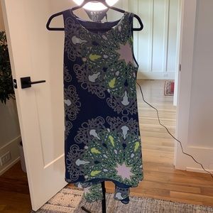 Anthropologie Shift Dress